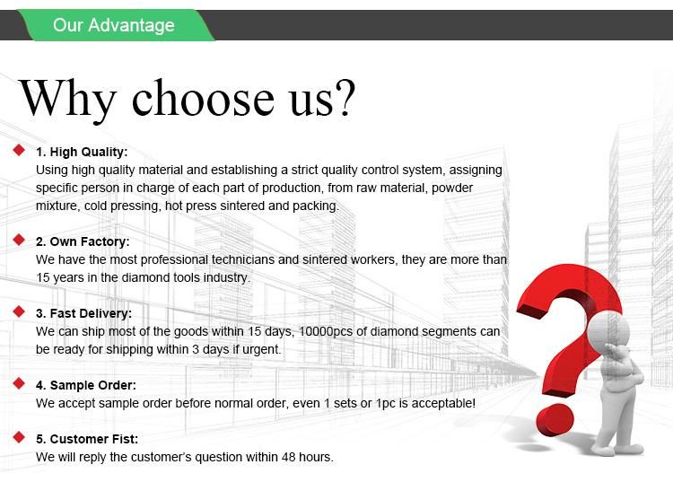 Romatools Customizated Cheap Market Segmentation Diamond Segments for Granite