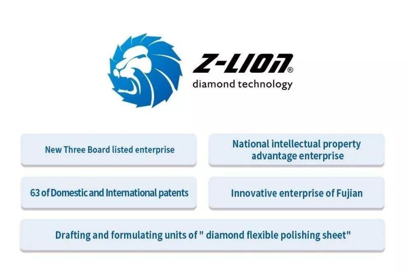 Z-Lion 90*55mm Electroplated Diamond Hand Stone Abrasive Polishing Pads for Granite Marble Sandstone Limestone Quartz Gemstone Wet Dry Grinding