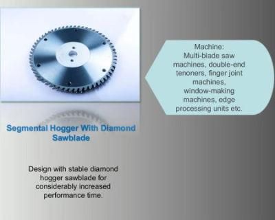 Segmental Hogger with Diamond Sawblade Be Suitable for Doble-End Tenoners