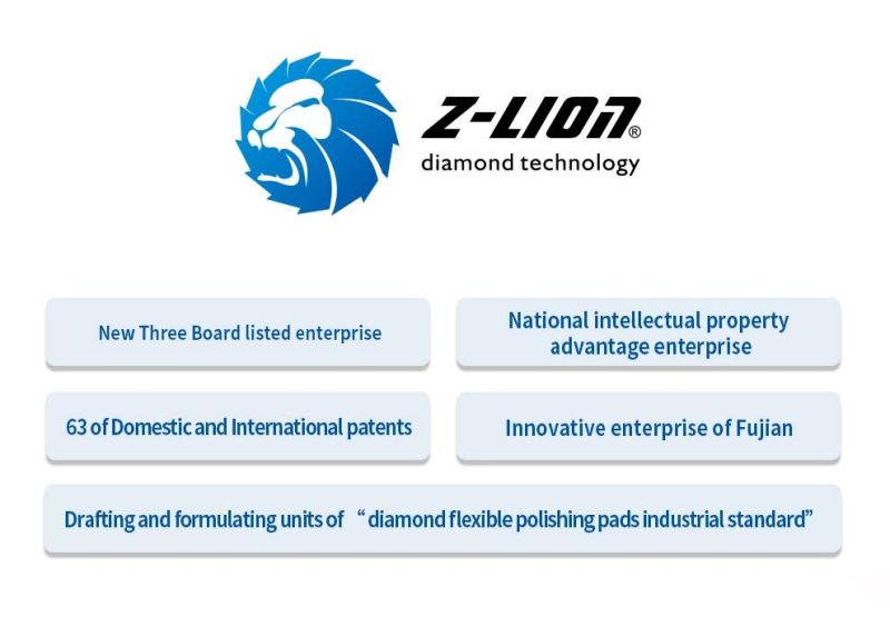 Z-Lion Flap Disc Uses Price Suppliers