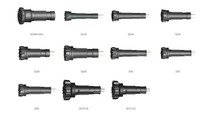 China Factory High Quality DTH Drill Bit Ql30 Ql40 Ql50 Ql60 Ql80 Numa 125A Down The Hole Hammer for Quarry and Water Well Drilling