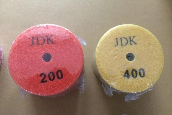 High Quality 100mm Dry Diamond Polishing Pads for Granite