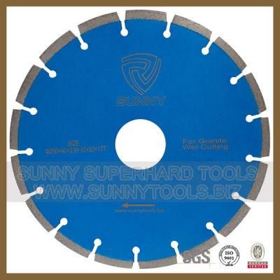 Diamond Topaz Stone Circular Blade (SY-DSB-30)