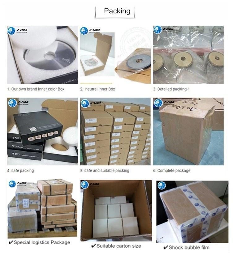 Segmented Concrete Cutting Disc for Circular Saw