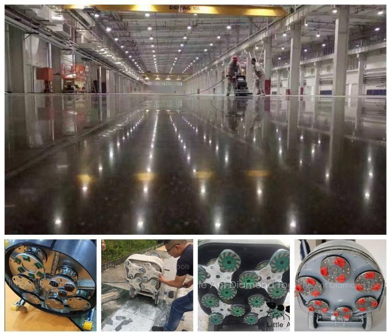 4 Segment Circular Concrete Floor Grinding Shoes