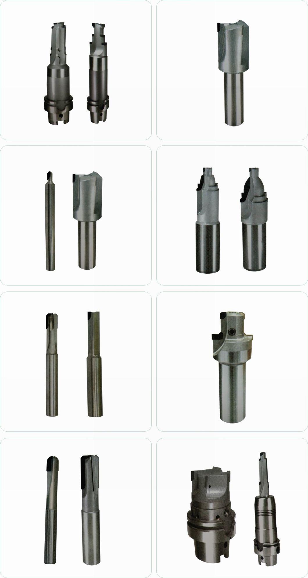 Non-Standard PCD Tools for Diamond Cutter/ Diamond Cutting Tools Diamond Tools Used for Auto Parts Cutting Tools and Milling Machine Tools