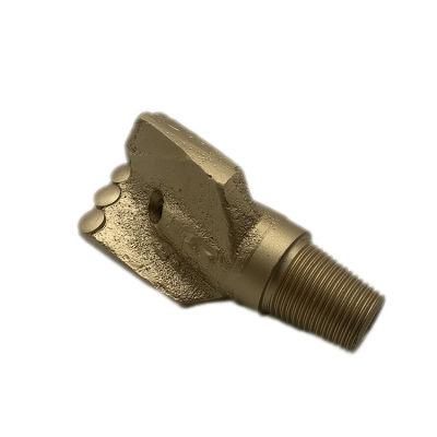 PDC Anchor Bit Well Drill Bit Russian PDC 2 Wings Anchor Bit